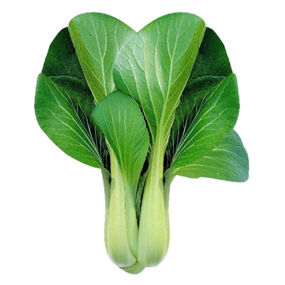 באק צ׳וי - bok choy