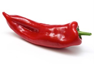 שושקה-shushka-pepper-miss-ageless-מיס-אייג׳לס