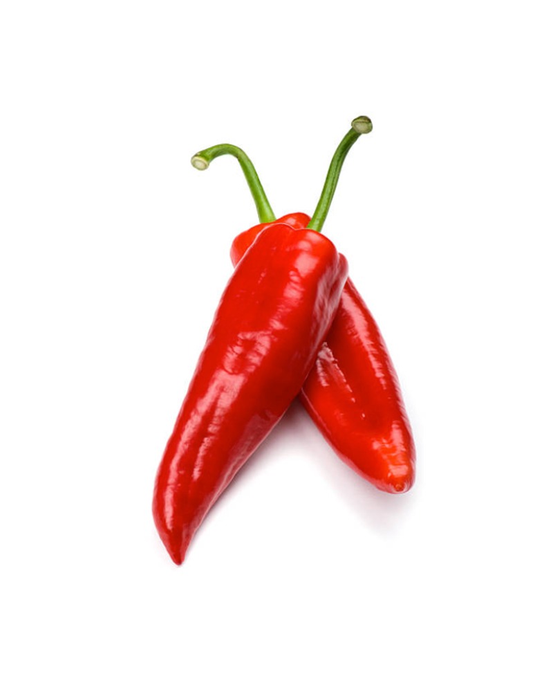 שושקה-shushka-pepper-miss-ageless-מיס-אייג׳לס