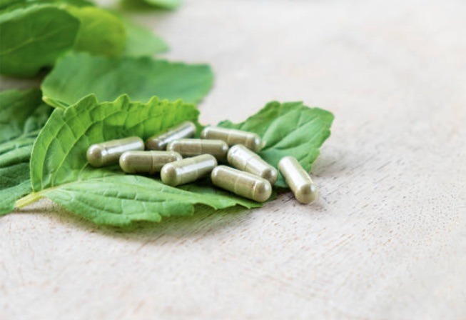 קפסולות בזיליקום - Basil Capsules